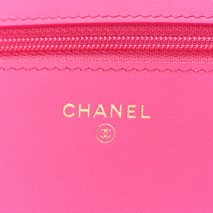 Chanel Jersey Quilted Chanel 19 Wallet On Chain WOC Pink 6 of 9