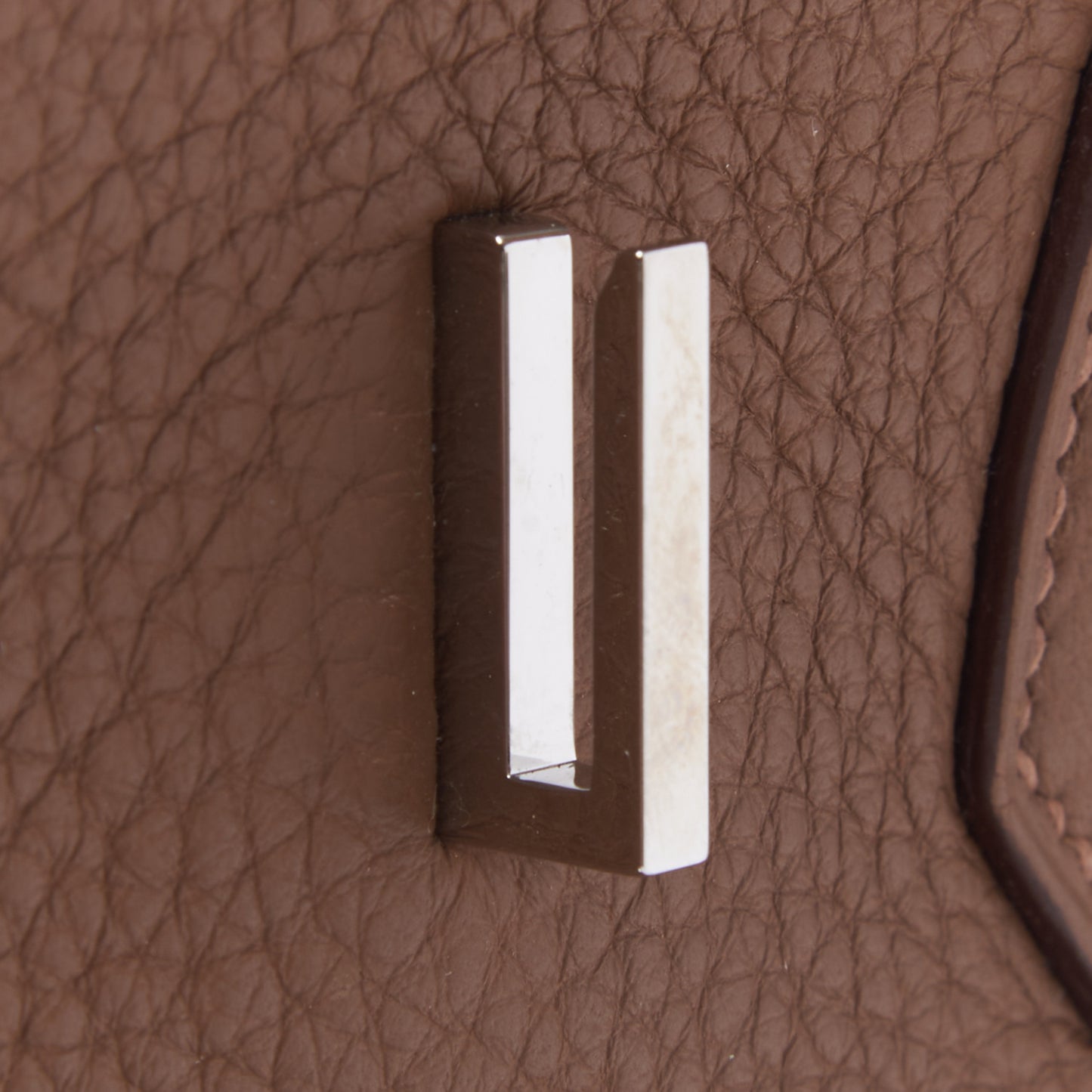 Taurillon Clemence Birkin 35 Alezan