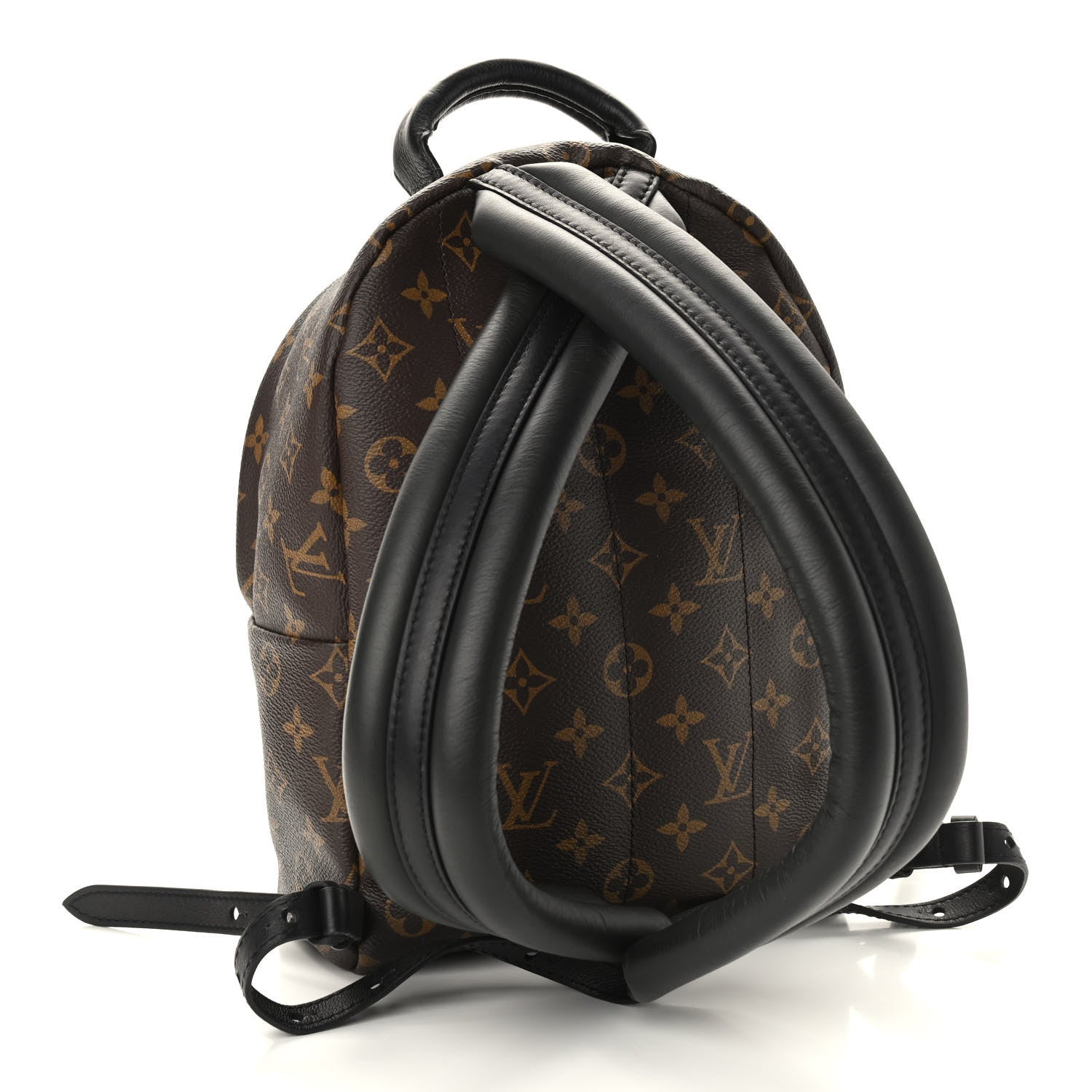 Louis Vuitton Monogram Palm Springs Backpack PM 3 of 9