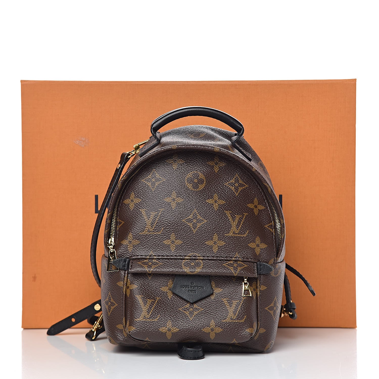 Louis Vuitton Monogram Palm Springs Backpack Mini 10 of 10