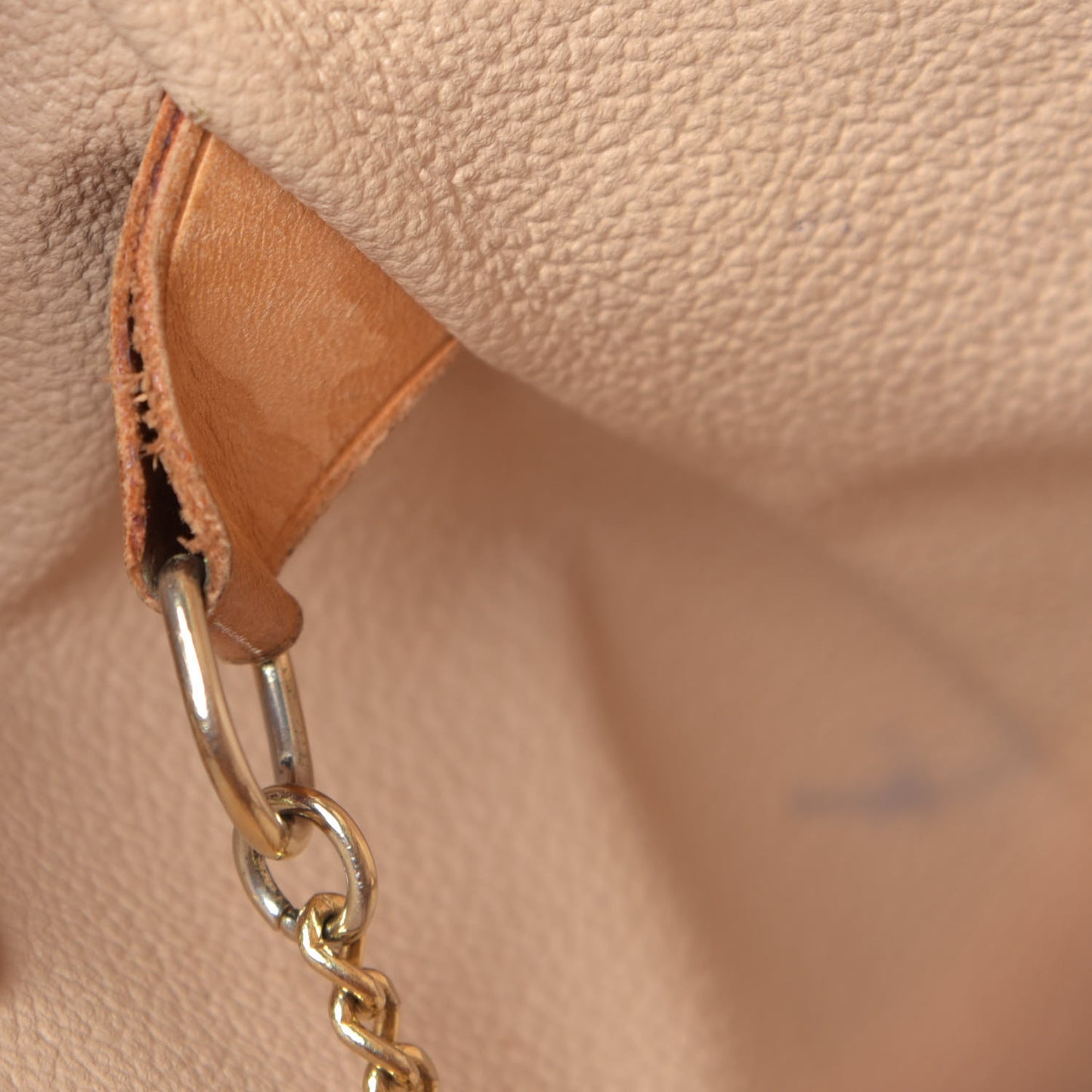 Monogram Petit Bucket 23