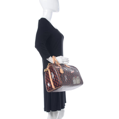 Louis Vuitton Catogram Speedy Bandouliere 30 Marron 2 of 11