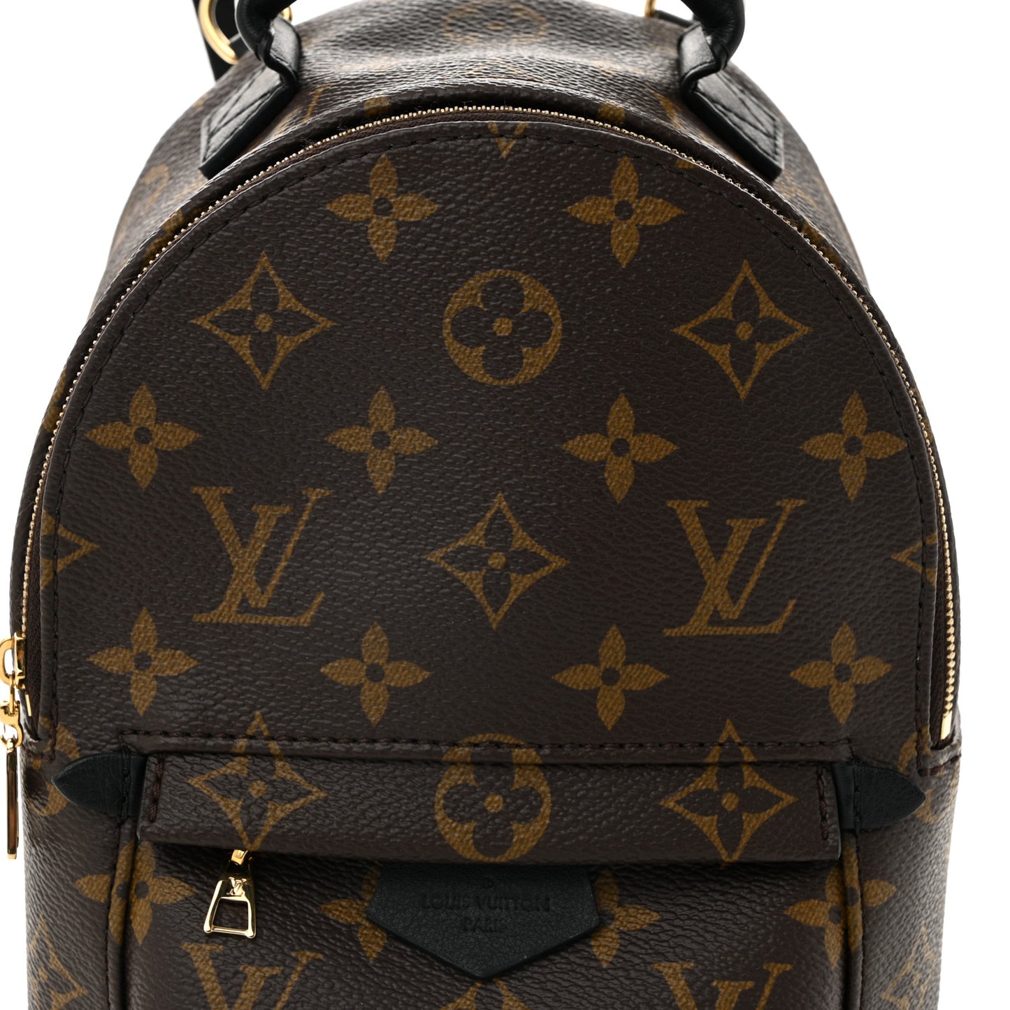 Monogram Palm Springs Backpack Mini