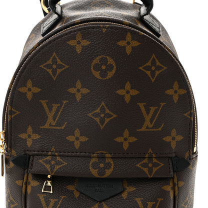 Louis Vuitton Monogram Palm Springs Backpack Mini 7 of 9