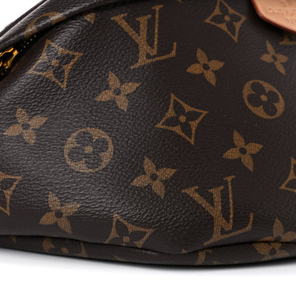 Louis Vuitton Monogram Bumbag 7 of 18