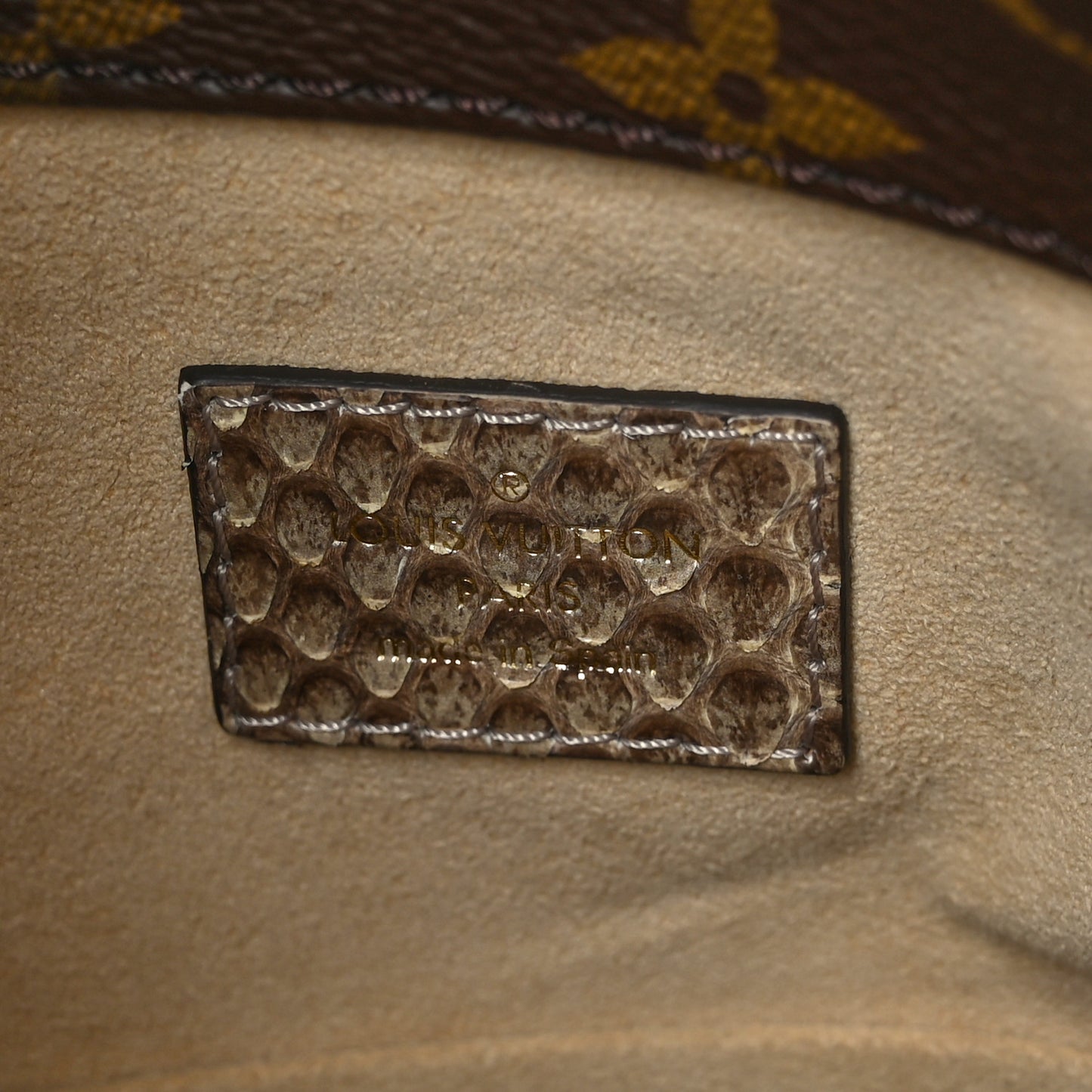 Snakeskin Monogram Artsy MM