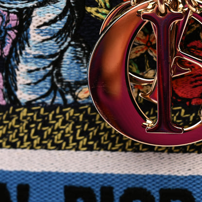 Christian Dior Canvas D-Constellation Embroidered Medium Lady D-Lite Bleu Multicolor 11 of 12