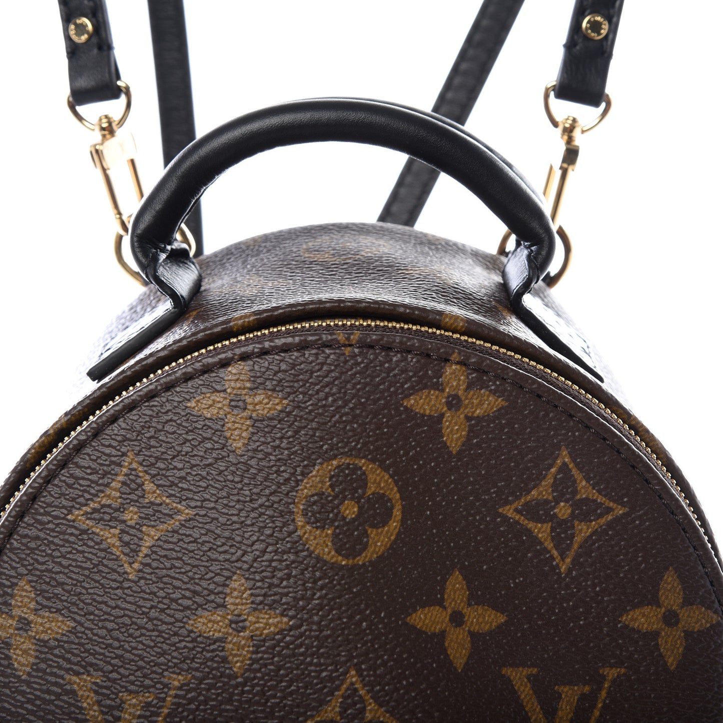 Monogram Palm Springs Backpack Mini