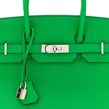 Hermes Togo Birkin 35 Bambou 8 of 12