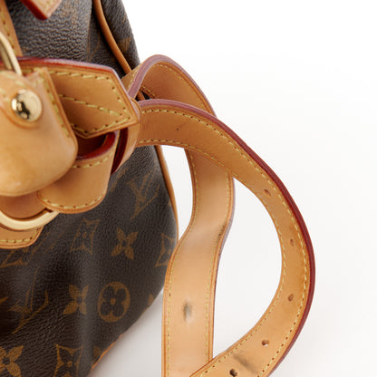 Louis Vuitton Monogram Sofia Coppola Speedy 12 of 14