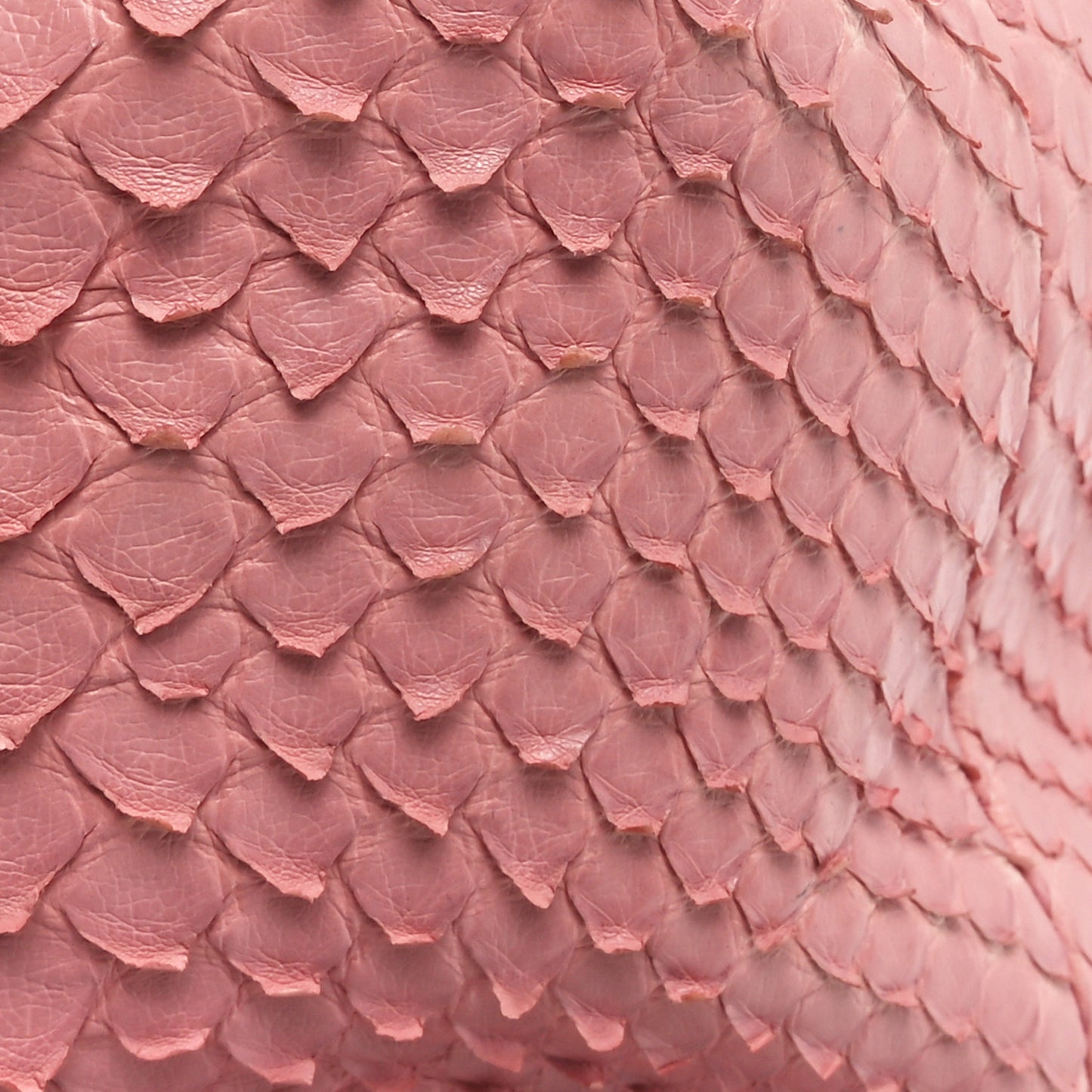 Snakeskin Small Gabrielle Backpack Light Pink