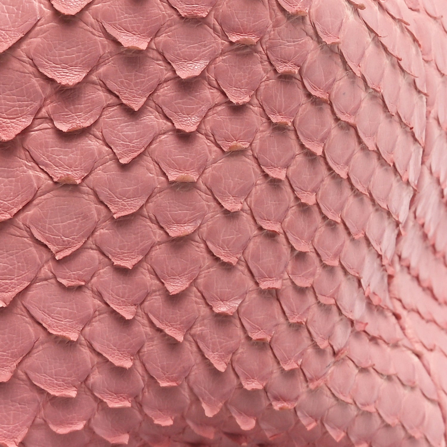 Chanel Snakeskin Small Gabrielle Backpack Light Pink 11 of 11