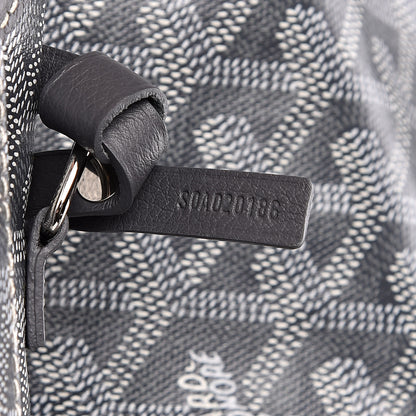 Goyard Goyardine Saint Louis PM Grey 7 of 9