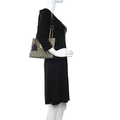Gucci GG Supreme Monogram Bees Small Padlock Tote Beige Oro Black 2 of 14