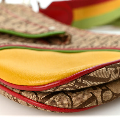 Christian Dior Monogram Rasta Double Saddle Beige 10 of 12