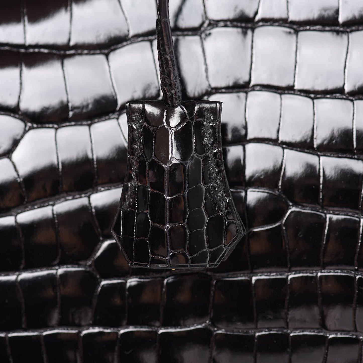 Shiny Porosus Crocodile Birkin 35 Black