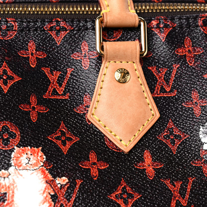 Louis Vuitton Catogram Speedy Bandouliere 30 Marron 15 of 20
