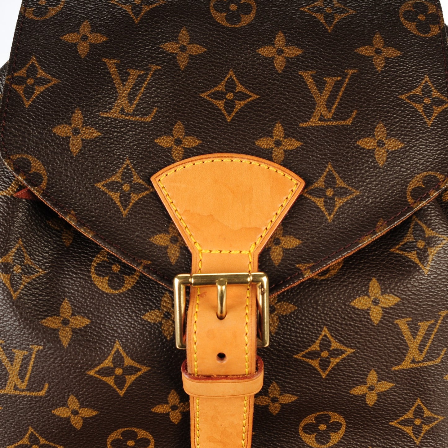 Monogram Montsouris GM Backpack