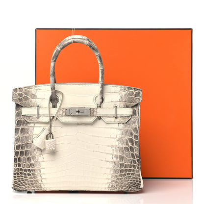 Hermes Matte Niloticus Crocodile Himalaya Birkin 30 Blanc 11 of 11