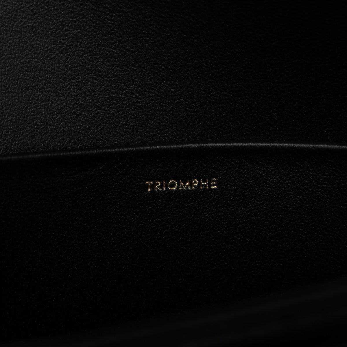 Shiny Calfskin Medium Triomphe Black