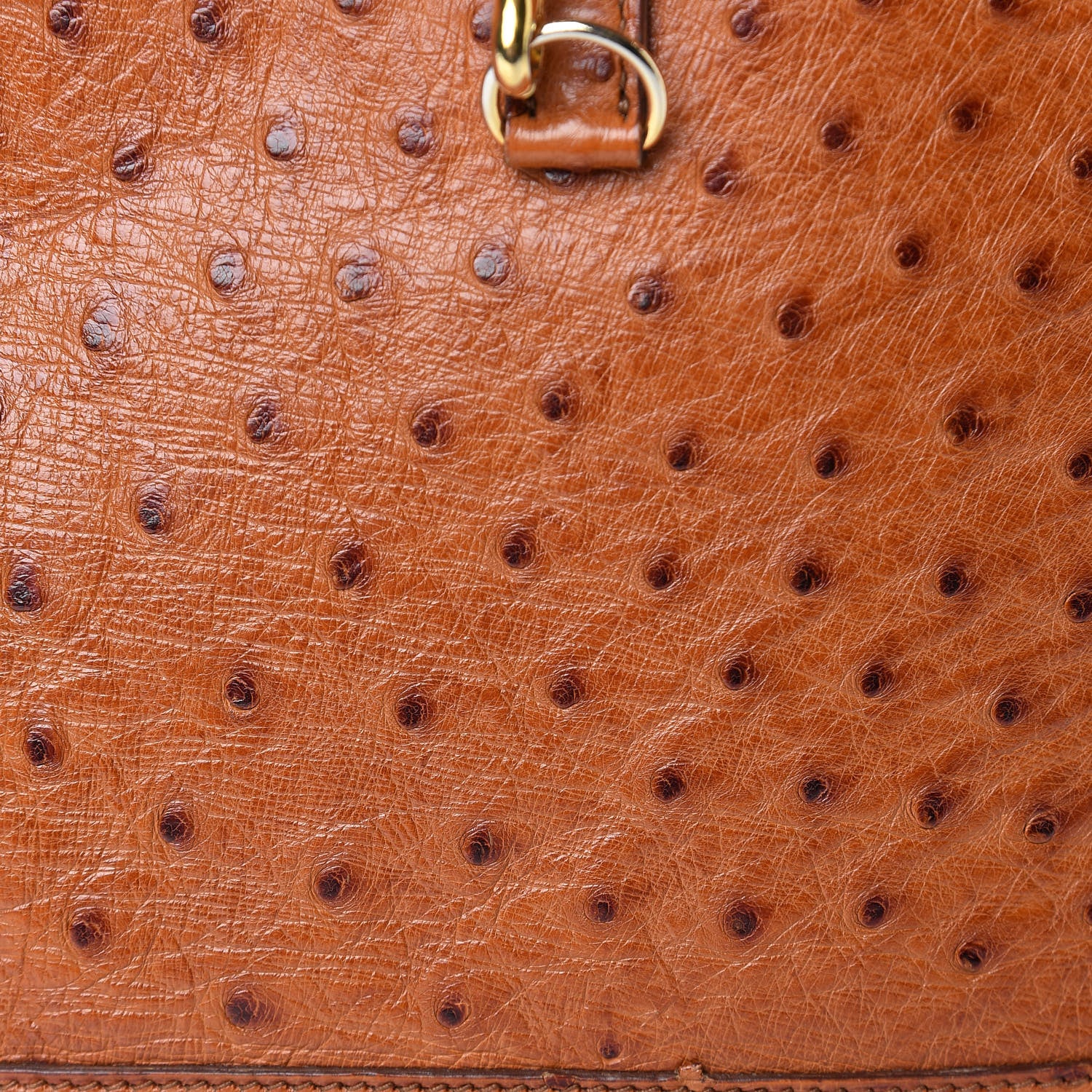 Hermes Ostrich Trim II 31 Cognac 8 of 15
