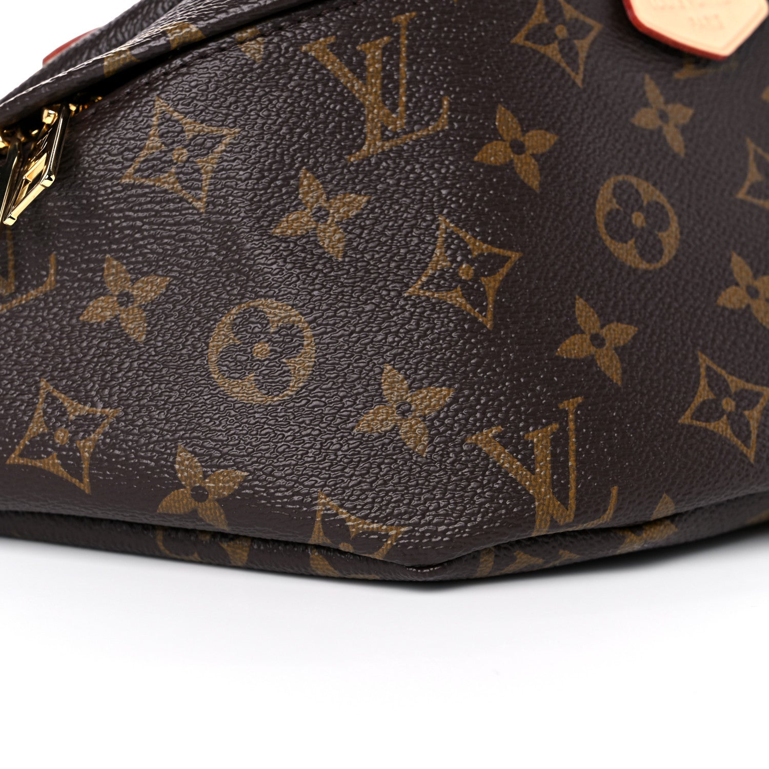 Louis Vuitton Monogram Bumbag 7 of 11