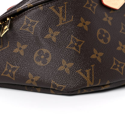 Louis Vuitton Monogram Bumbag 7 of 11