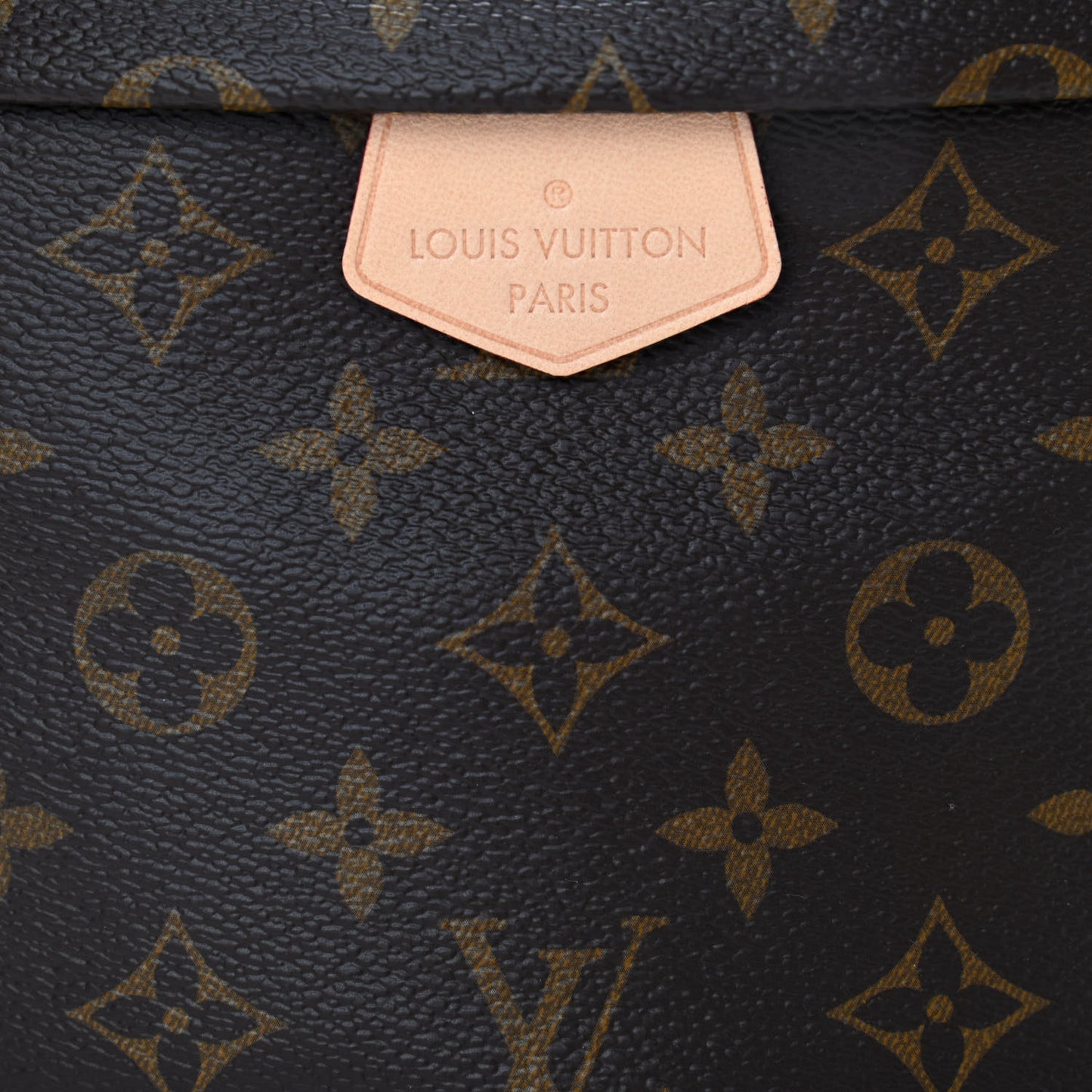 Monogram Bumbag