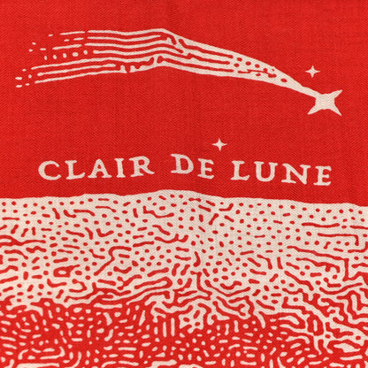 Hermes Silk Cashmere Clair De Lune Shawl 140 Rouge Naturel 4 of 5