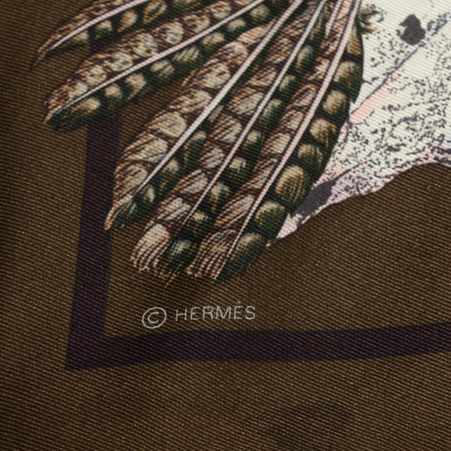 Silk Pani La Shar Pawnee Scarf 90