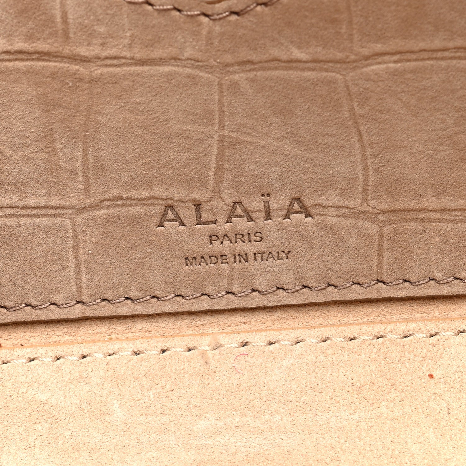 Alaia Nubuck Crocodile Embossed Small Le Teckel Bag Grege 7 of 10