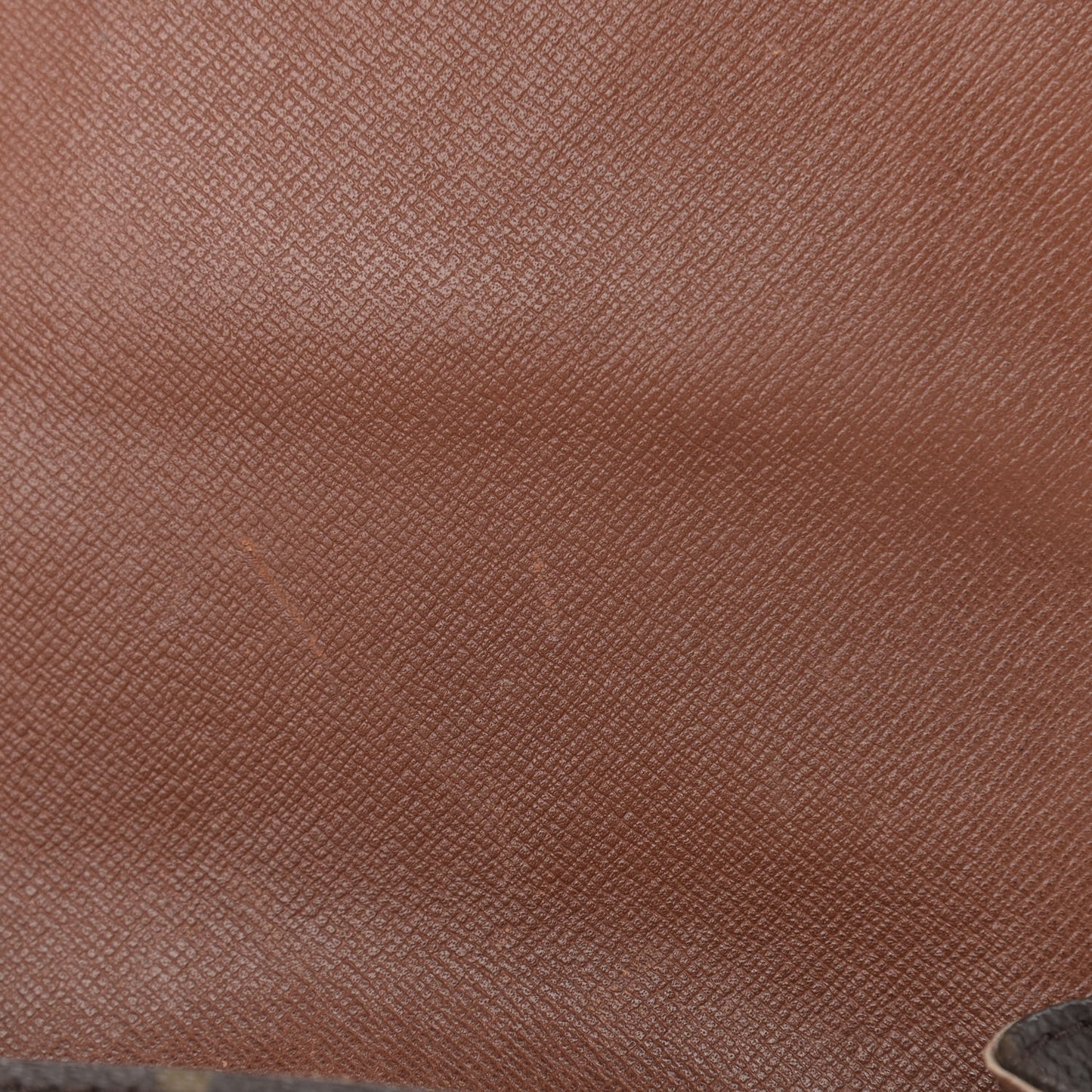 Monogram Cartouchiere 17