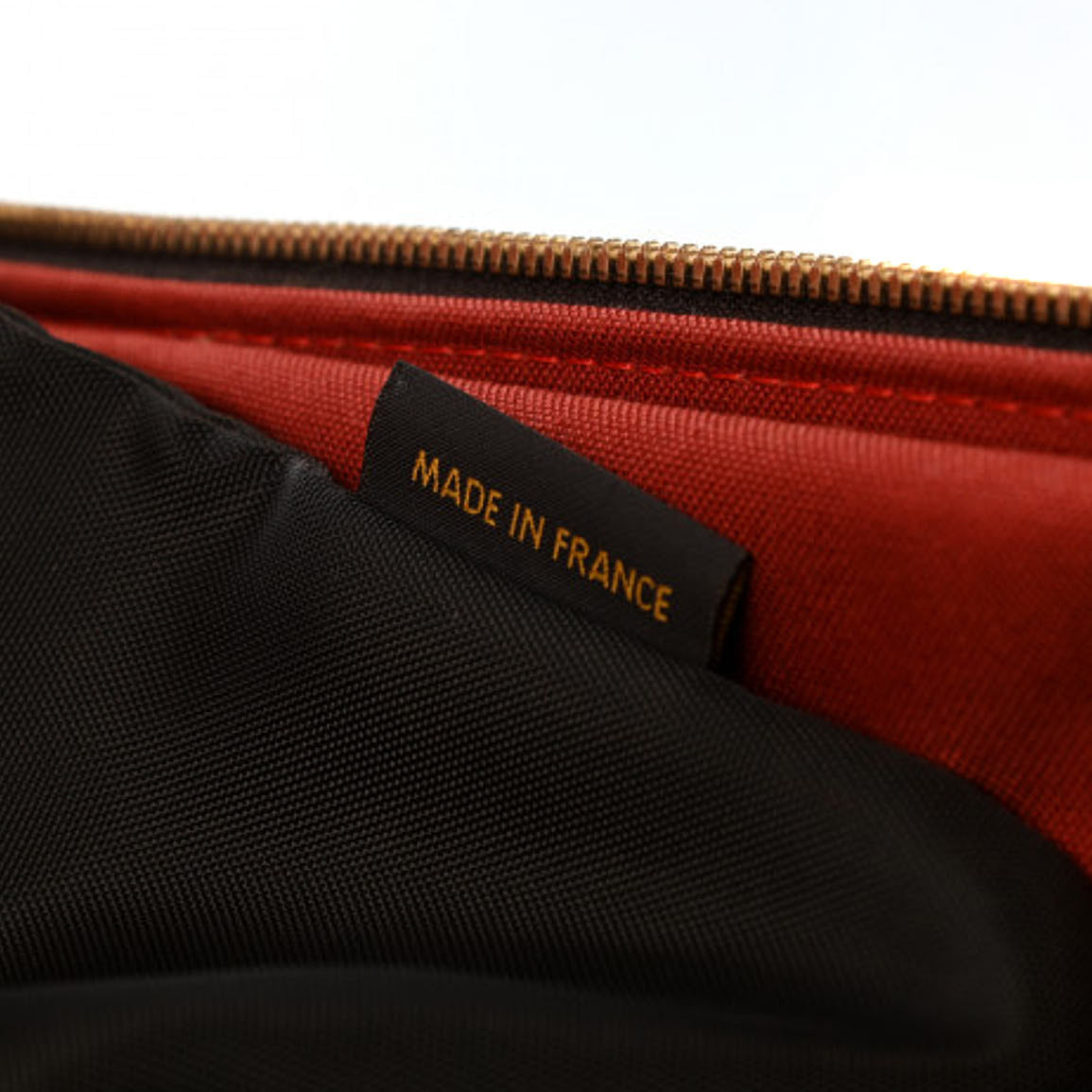 Damier Ebene Pegase 55 Rolling Luggage