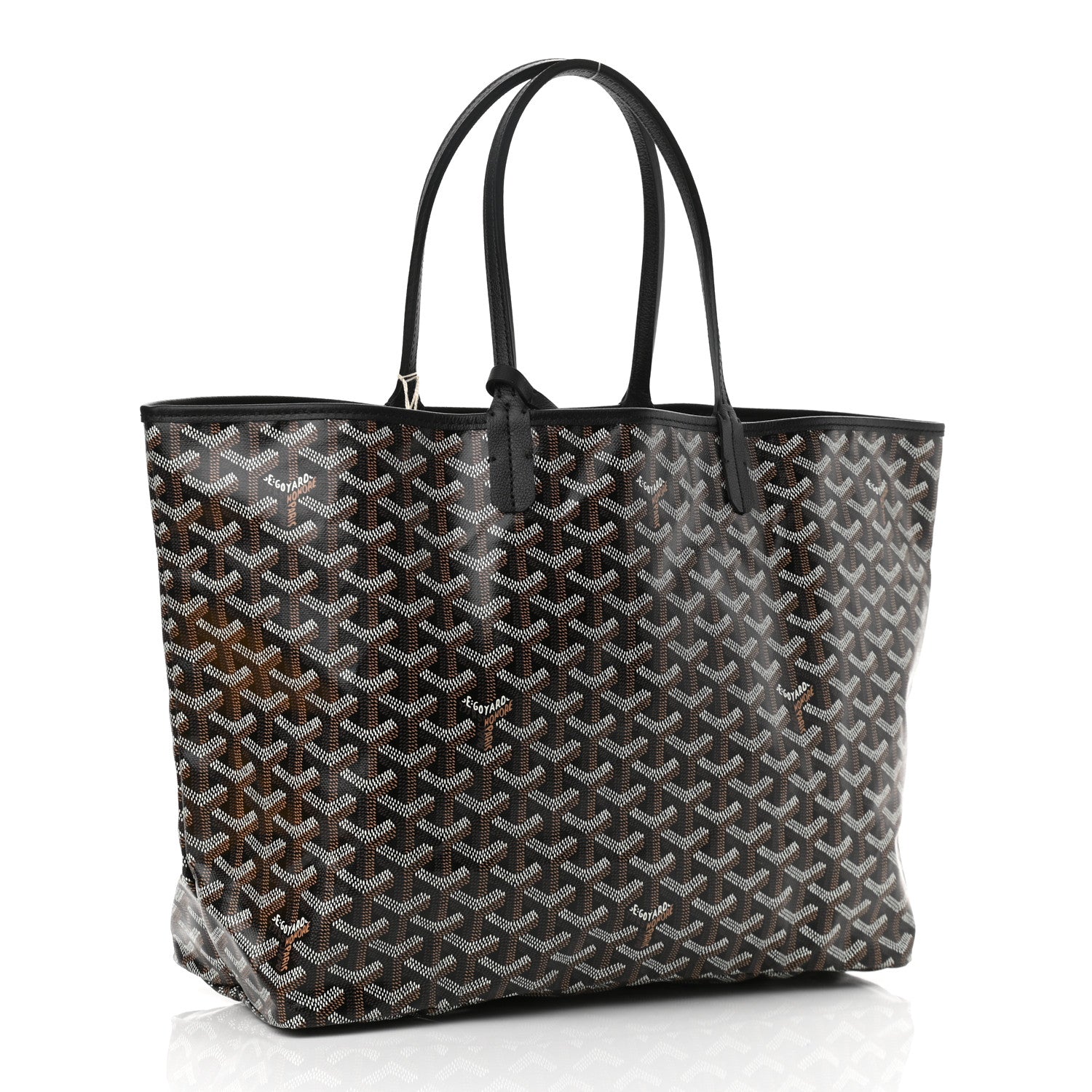 Goyard Goyardine Saint Louis PM Black 4 of 11