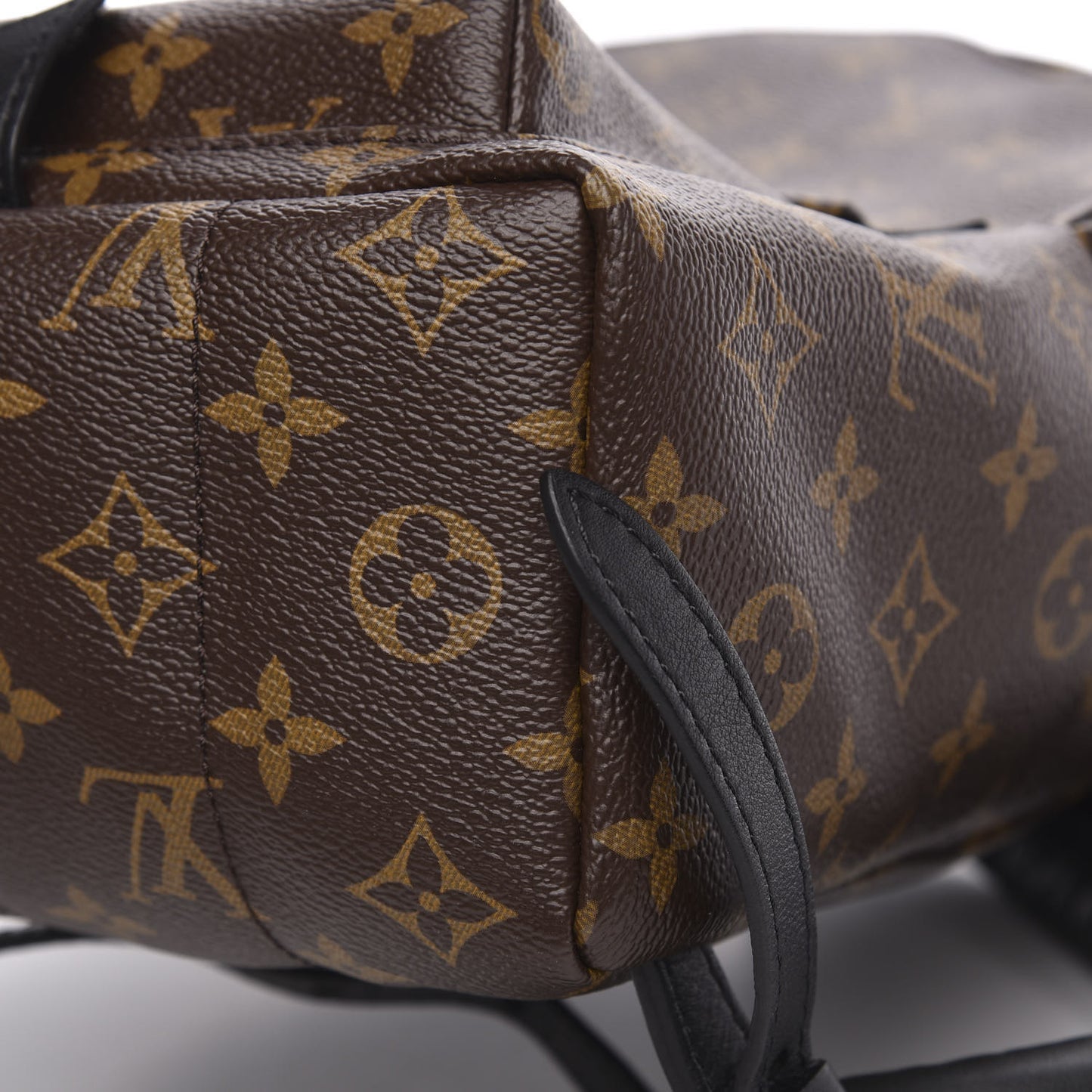 Monogram Palm Springs Backpack PM