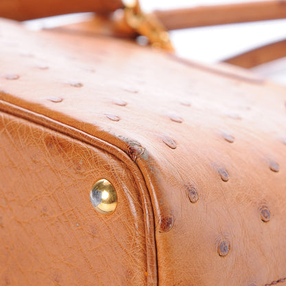 Hermes Ostrich Bolide 27 Gold 15 of 18