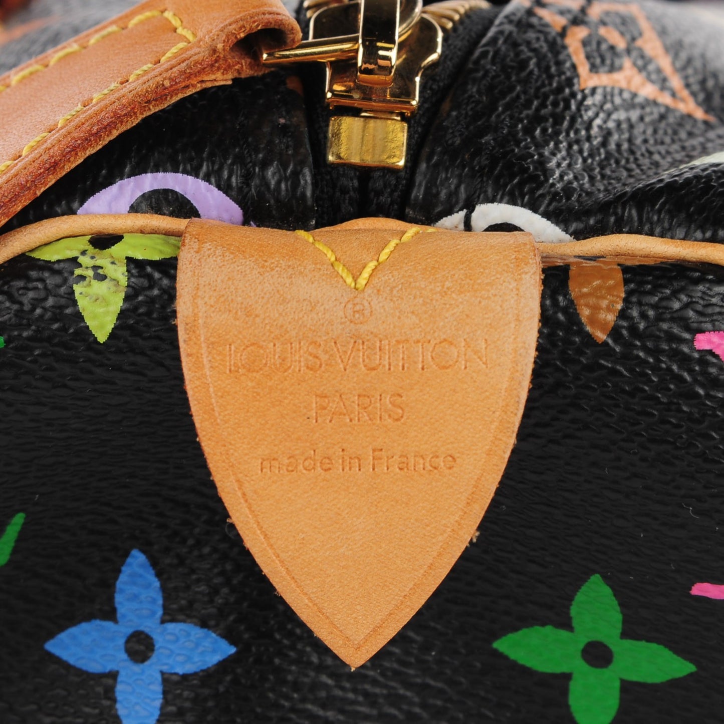 Monogram Multicolor Speedy 30 Black