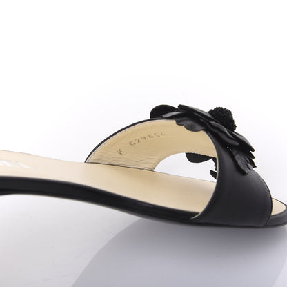 Chanel Lambskin Camellia Slides 37.5 Black 8 of 9