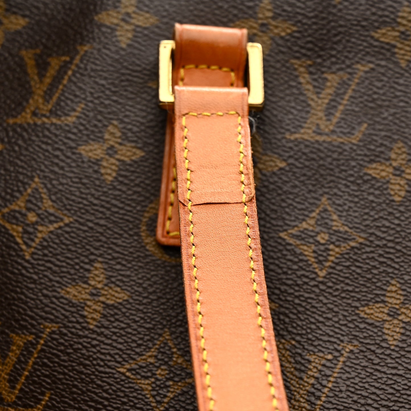 Monogram Cabas Mezzo