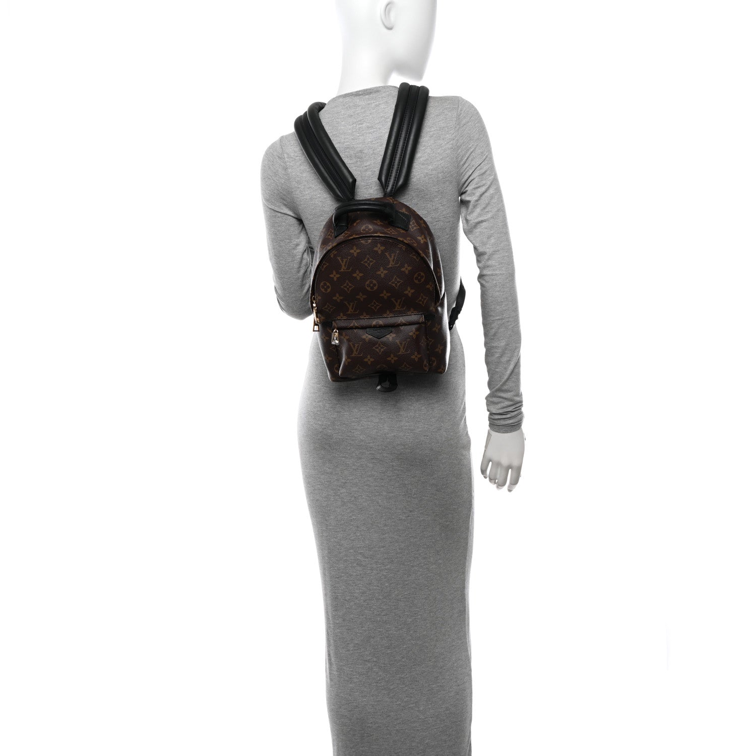 Louis Vuitton Monogram Palm Springs Backpack PM 2 of 10