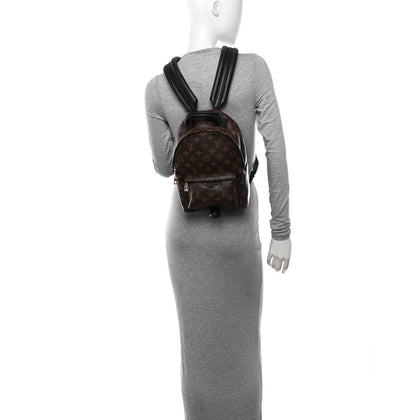 Louis Vuitton Monogram Palm Springs Backpack PM 2 of 10