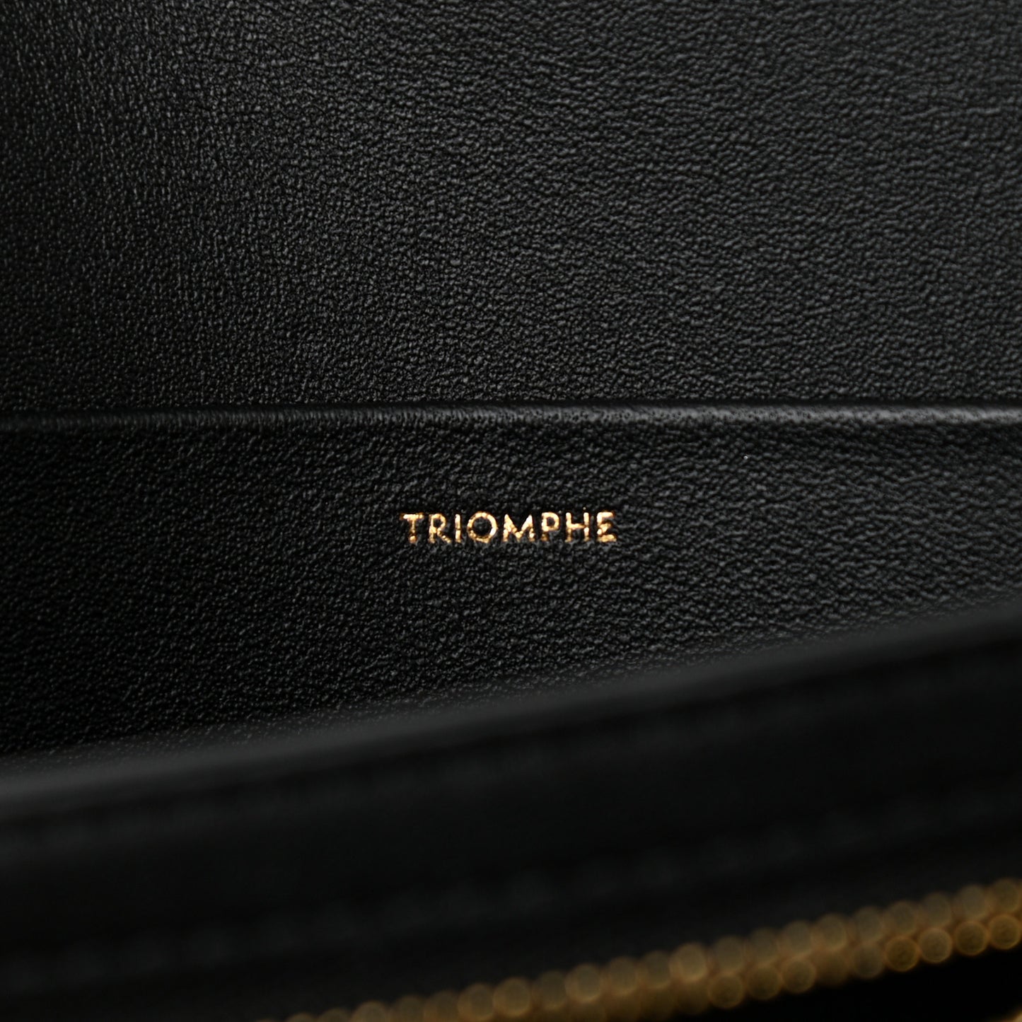 Shiny Calfskin Medium Triomphe Black