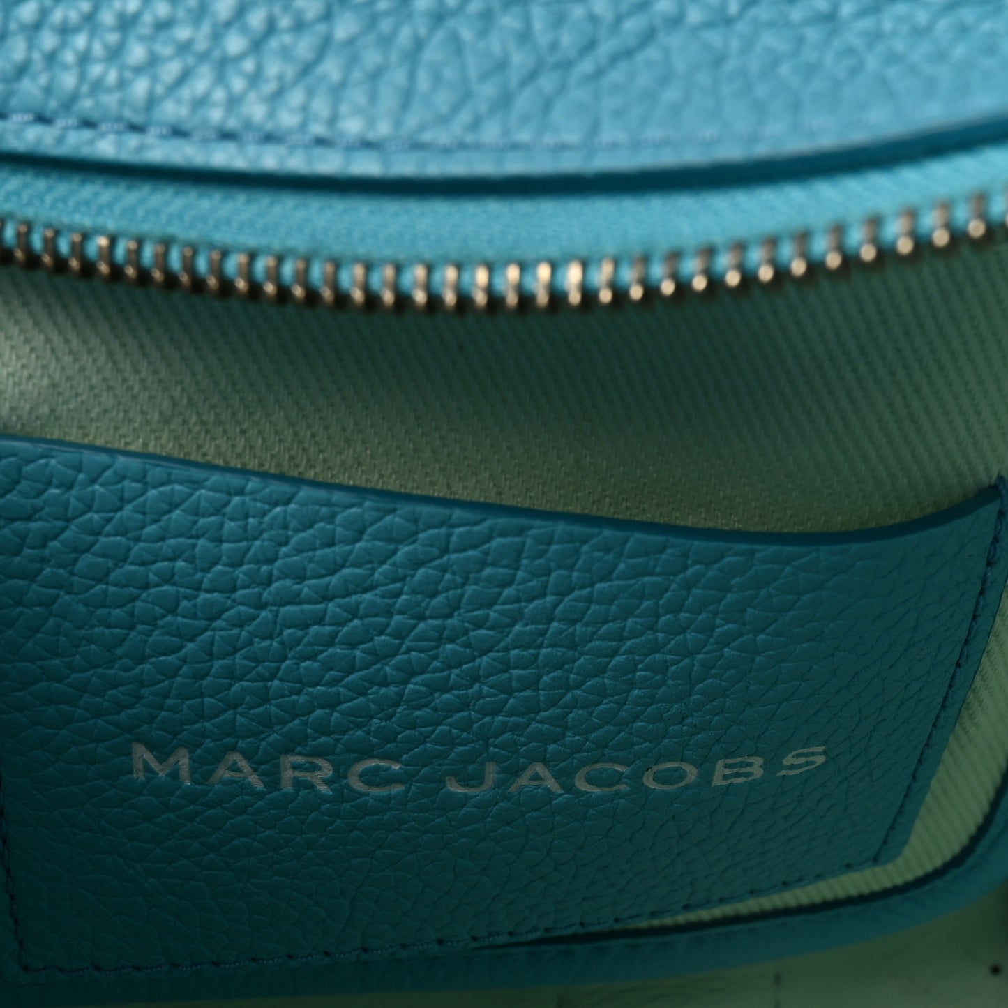Grained Calfskin Small The Tote Bag Pool