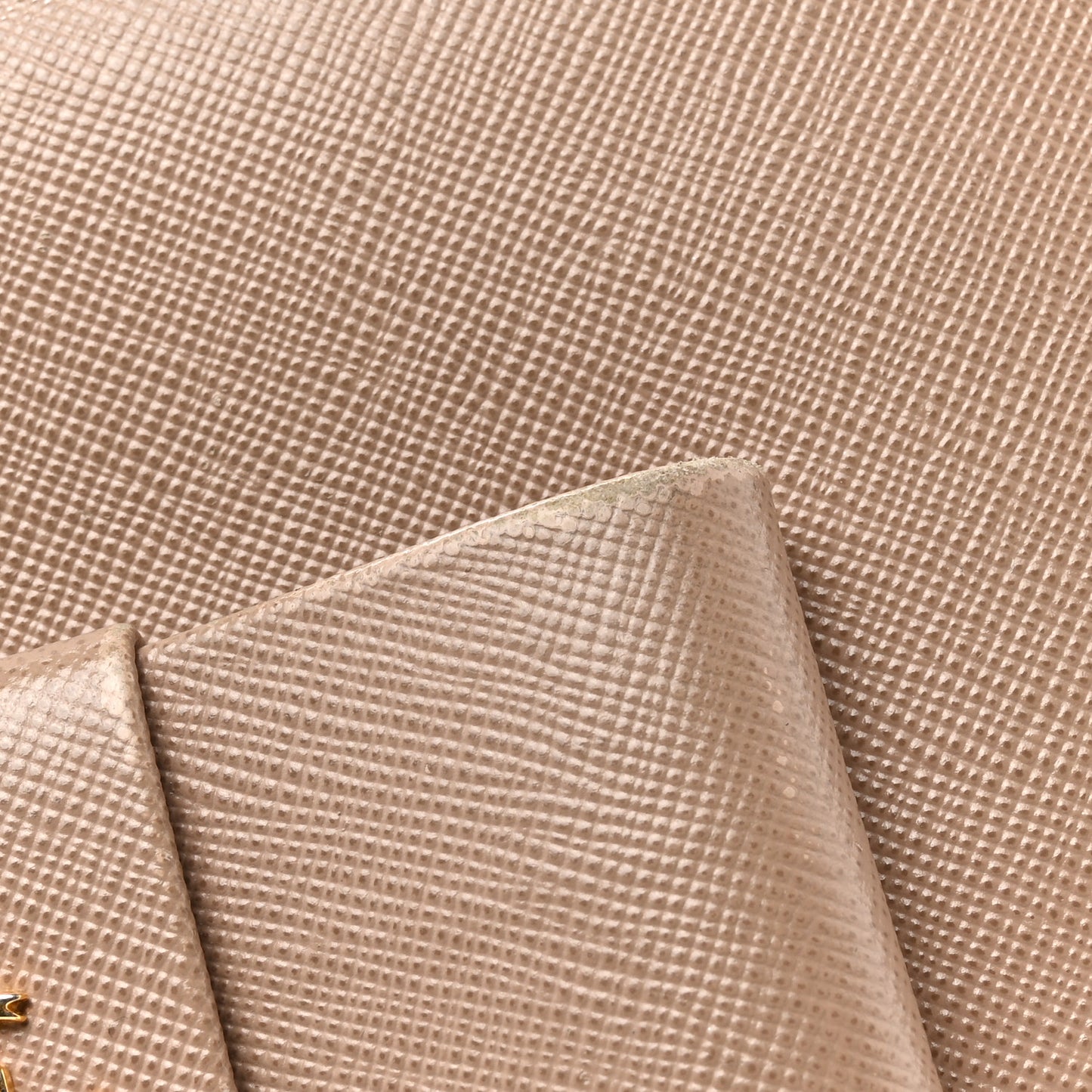 Saffiano Fiocco Bow Zip Around Wallet Cammeo