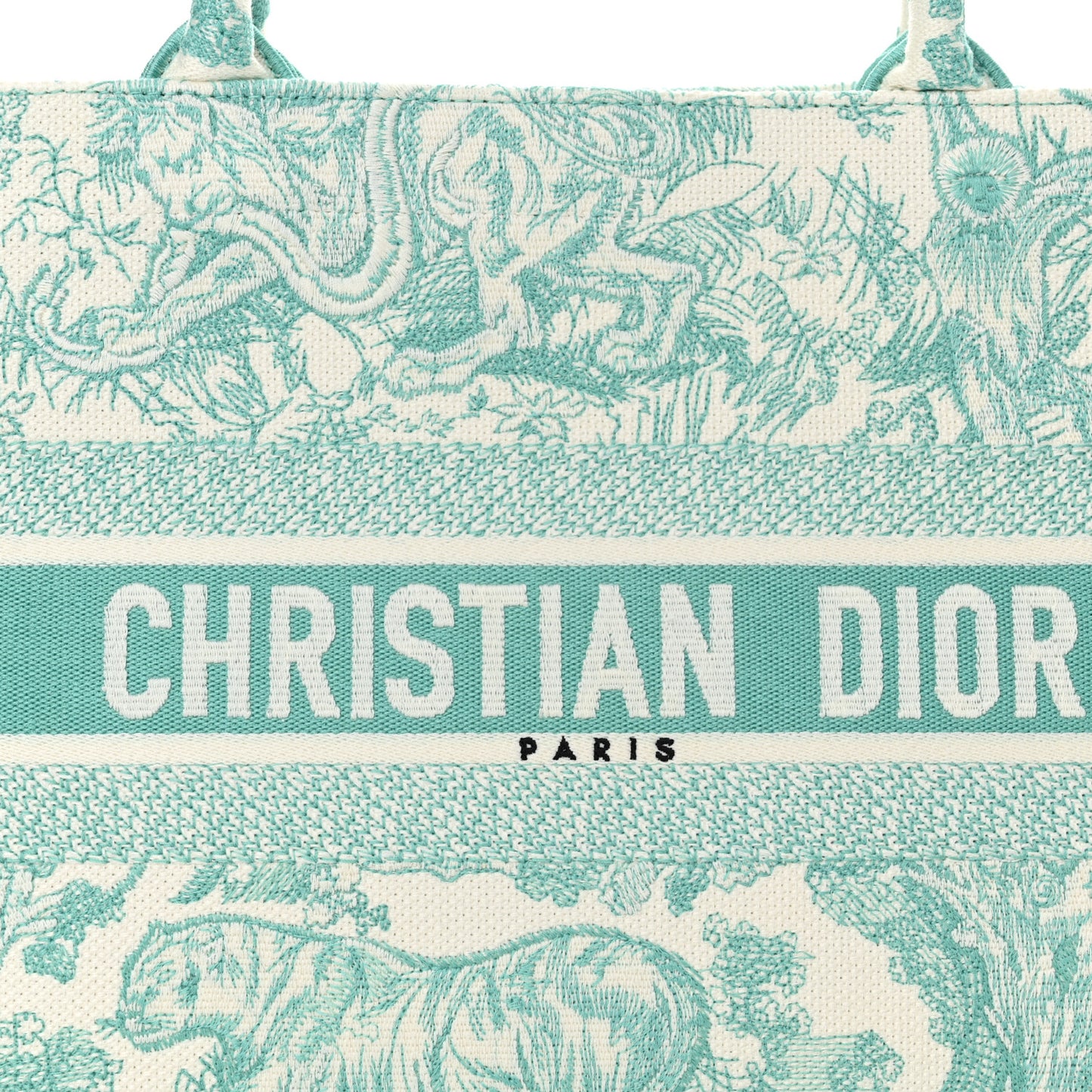 Canvas Embroidered Medium Dioriviera Toile De Jouy Book Tote Aquamarina