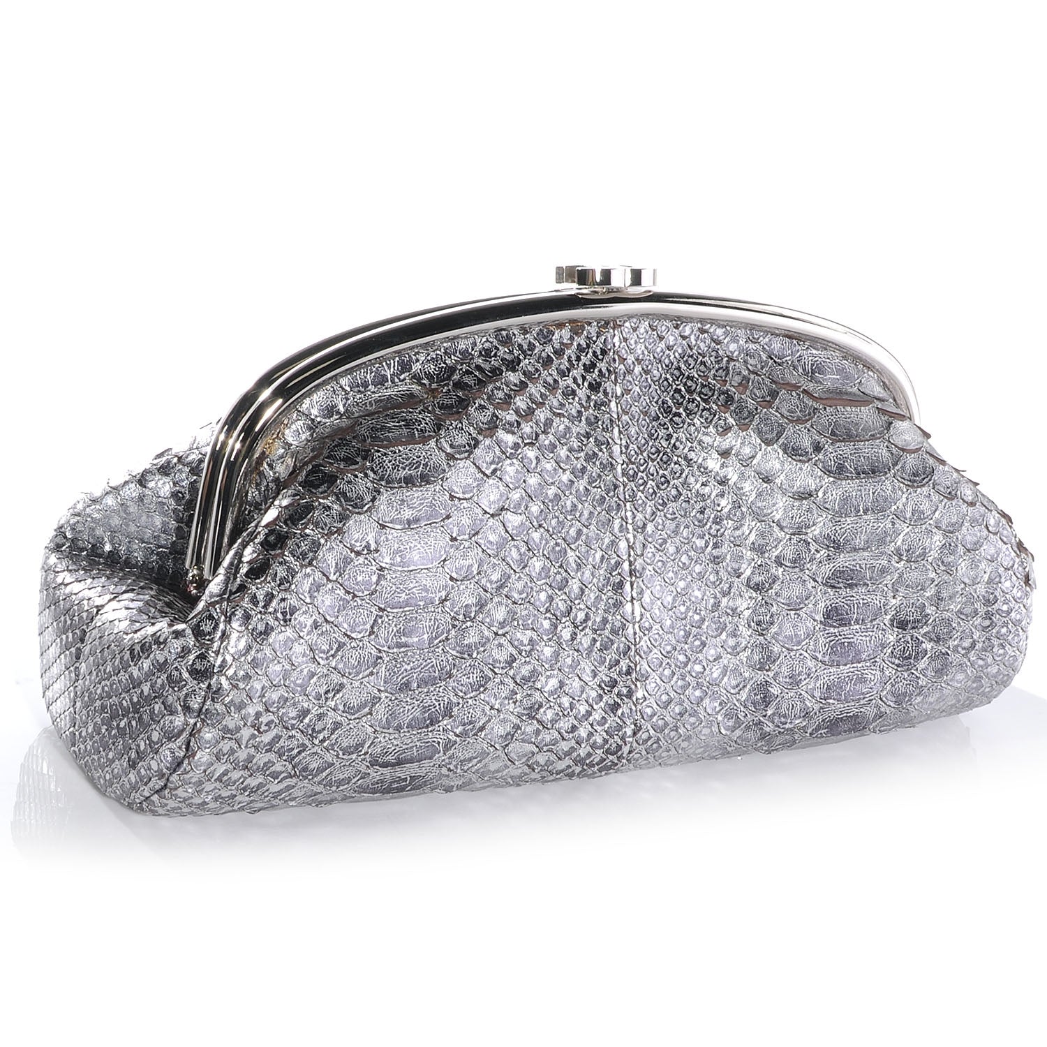 Chanel Python Timeless Clutch Dark Silver 3 of 7