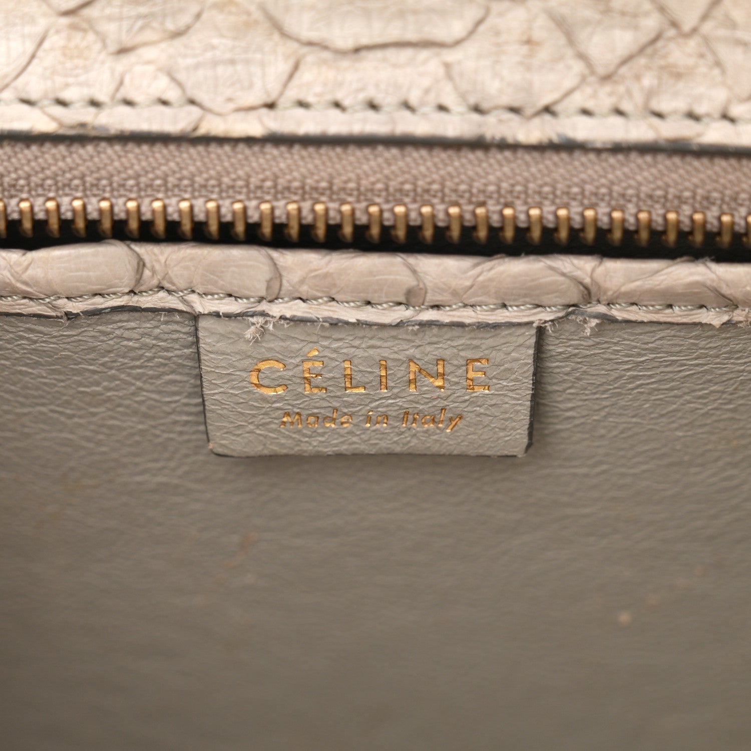 Celine Snakeskin Nano Luggage Grey 6 of 11