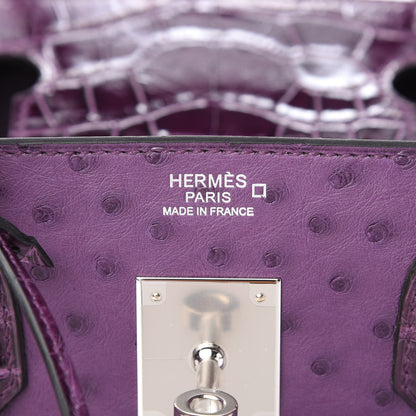 Hermes Ostrich Shiny Alligator Birkin Touch 30 Violine 22 of 34