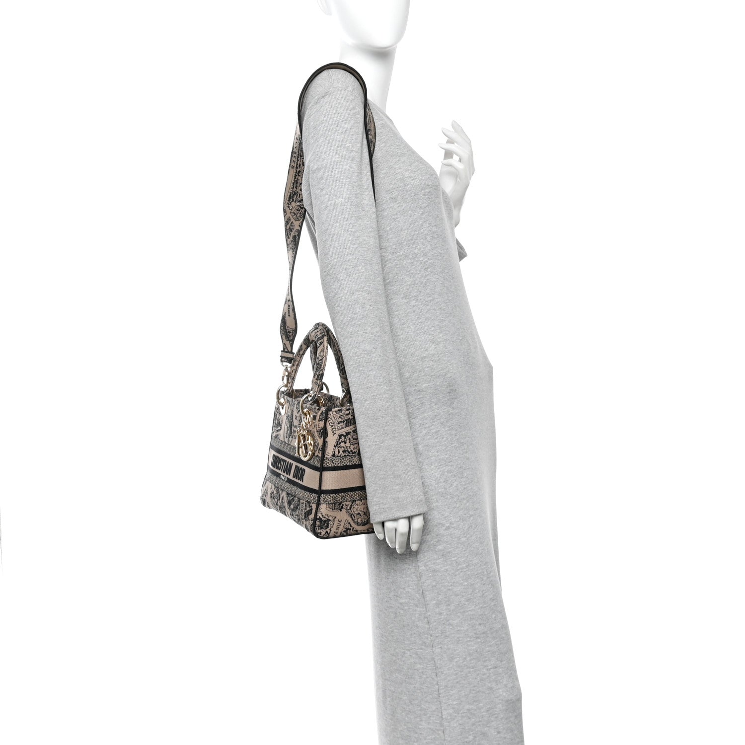 Christian Dior Canvas Embroidered Medium Plan de Paris Lady D-Lite Beige Black 2 of 9