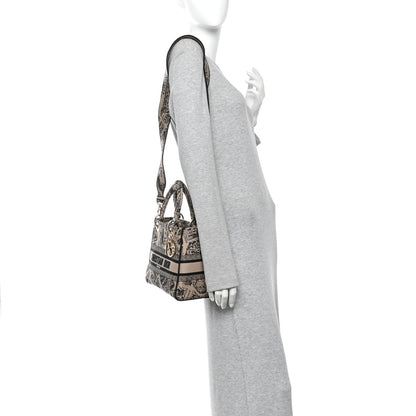 Christian Dior Canvas Embroidered Medium Plan de Paris Lady D-Lite Beige Black 2 of 9